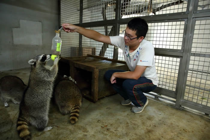 �Ƽ����������̬�̵�����������̨��������԰