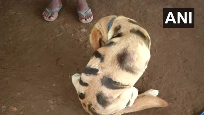 ӡ��ũ����������໭���ϻ��Ż�����