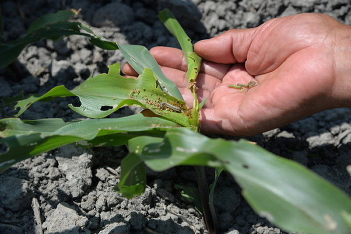 йũҵũ岿Ҫı׼Ρʾͼ뱾޹ءͼṩ