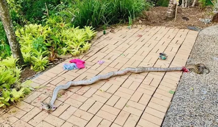 �Ĵ�����4.5m������ͼ��4��Сͯ�ϵ���ľ���� �ְ�ȭͷ���Ὣ���ߴ���