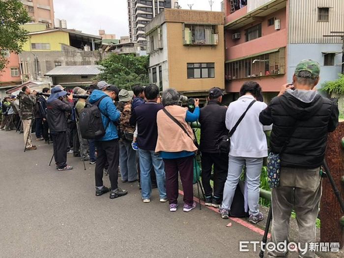 ̨��ϫֹ���ֺ��������񡰺�ͷ�M�� ��Ӱ�����߳�ʥ׷��