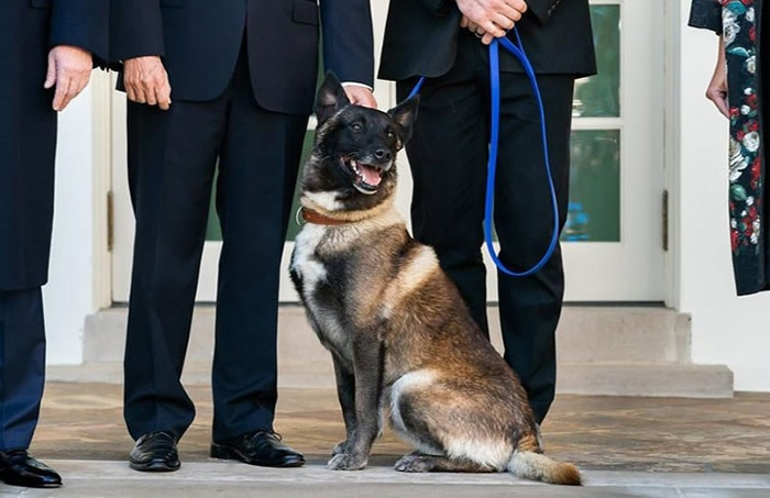 ��Ȯ���ϣ�ͼ���򷴿��й���������ͳ�ټ���