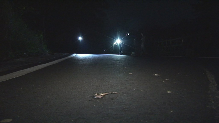 ��ֳ����Խ��·����ʹ����ϳ�����ɥ���¡� ������Ϣ����������Ƭ