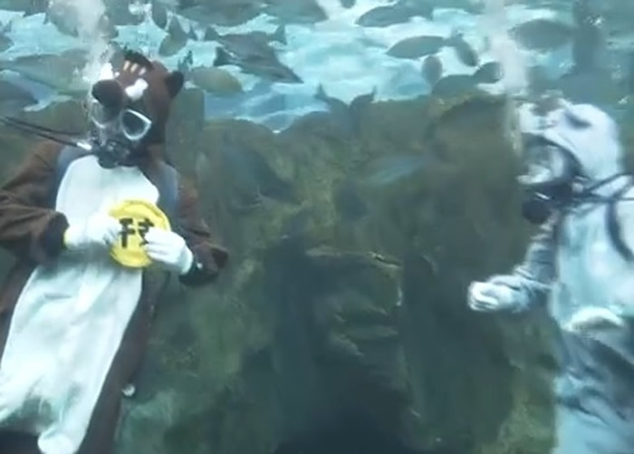 潜水员打扮成野猪和老鼠。