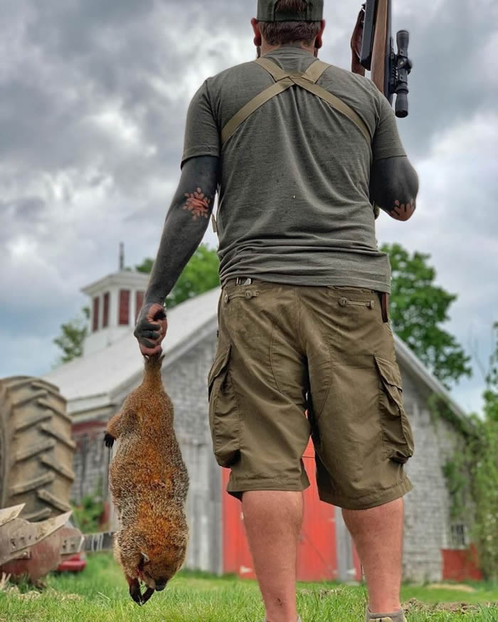 ����һ���������������һ����ʵ��ʳ�����߱���������ɱ�֡�