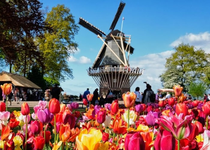 将弃用“Holland”荷兰这一昵称 统一使用“Netherlands”尼德兰这正式国名