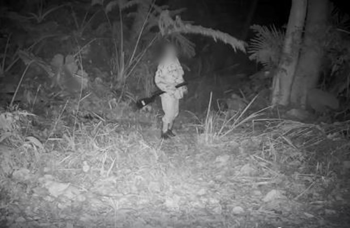 ̨�������ع����硰ɽèɭ�֡�����ʯ�� �ĵ����˳�ǹ����