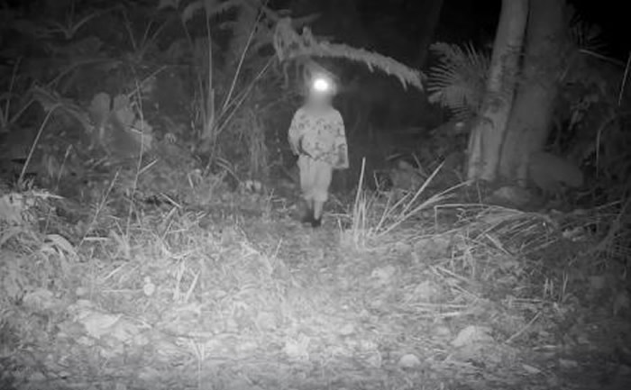 ̨�������ع����硰ɽèɭ�֡�����ʯ�� �ĵ����˳�ǹ����