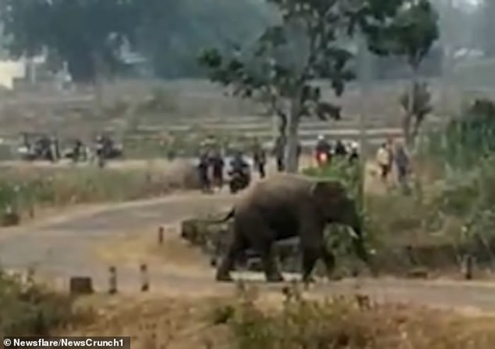 ӡ�����ӷ���ũ����������ֲ�̤������ľ�����������ѵ�� ���󱻼�ŭת��׷ɱ