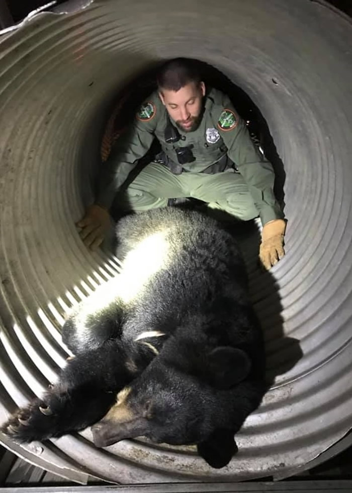 ������������ѧ�����ش�90����ľ޺��� ����Ա���ֲ���ȫ�ͷ�Ұ��