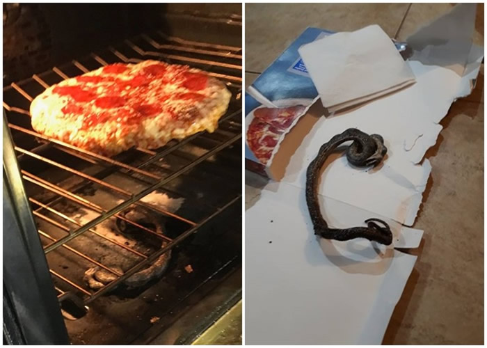 ���������������ݼ�ͥ�h¯�h�����h������Ƥ�ߡ�