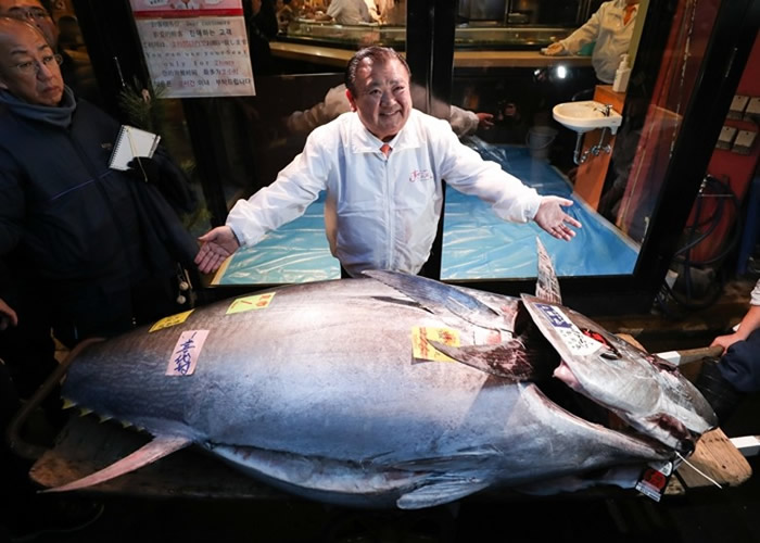 木村清(中)拍得吞拿鱼王。