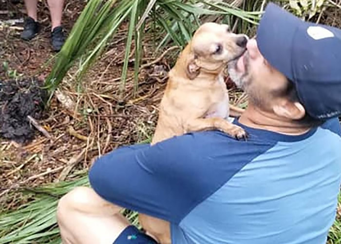 ���Ϧ�����޽�ͨ�����ʧ�� ������������ݾ�Ա�����Ϳ�Ѱ��