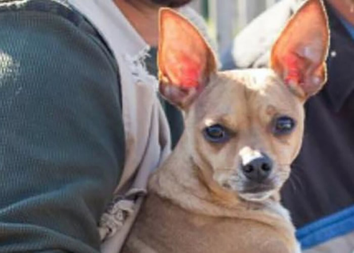 ���Ϧ�����޽�ͨ�����ʧ�� ������������ݾ�Ա�����Ϳ�Ѱ��