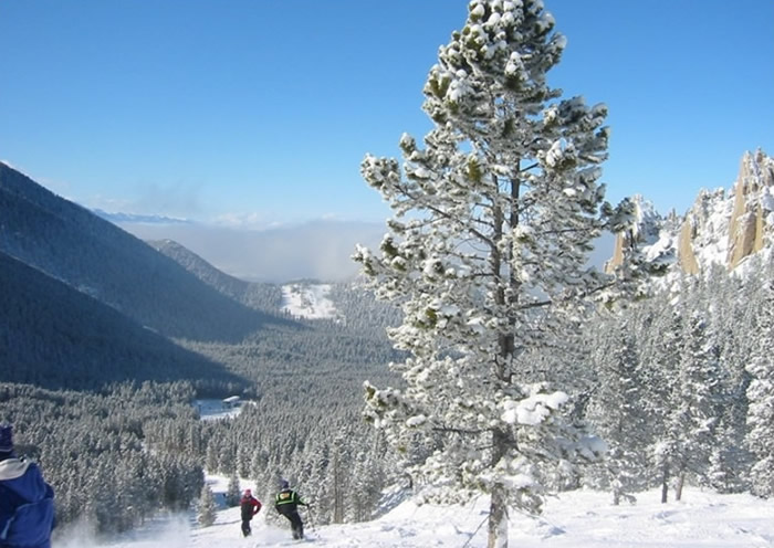 ���������������������ϲ������в�һ�� ���������½�������