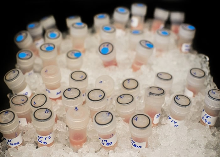 �Ƚ����Ƽ�����������֢�������µ�