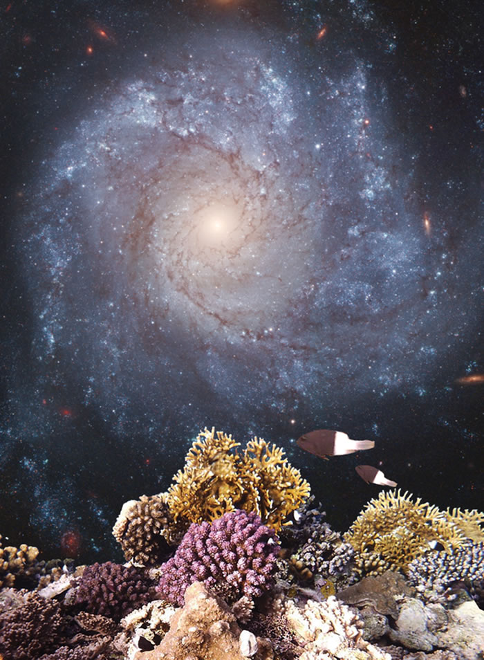 �����Ǳ��������Ӱ������ϵ�������