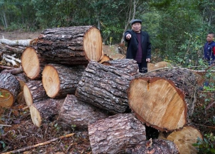 ������ɽ���ҹ�԰������ʩ�� ũ��ɽȪ�ܲ�