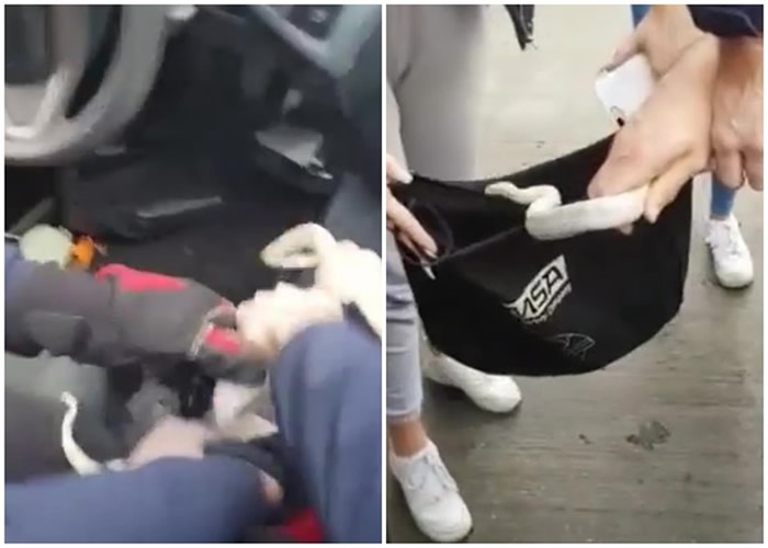 Ӣ�����տ�һ�����������������˽�ҳ��Ǳ����ڶ�����