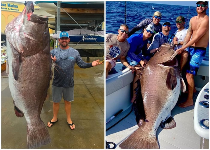 Jason Boyll��������������ݺ�������50�������158���ﻪɳʯ���㣨ǳ�������l��