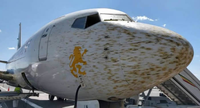 On The Wings of Aviation网站:埃塞俄比亚航空公司客机飞行时撞到蝗虫云团