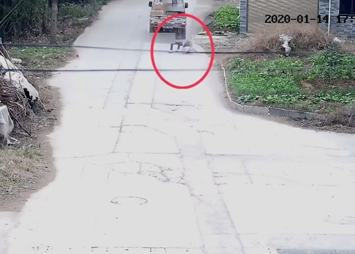 浙江台州10岁女童被汽车拖行数百米肇事司机不顾而去 母亲报警才知道肇事司机是自己