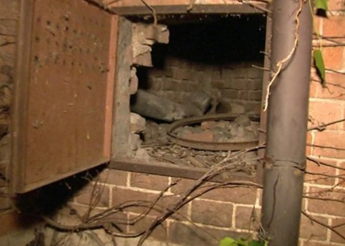 奥地利画家Gustav Klimt名作《女子的画像》失窃23年 意大利园丁画廊外墙暗门寻获