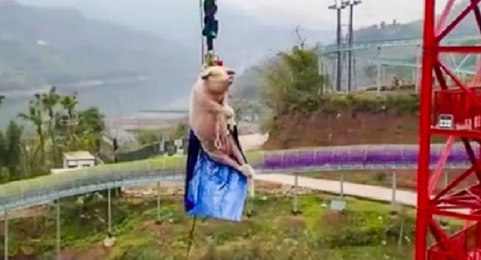 �����쾰����ҵ�����ļ�������Ƶ�����ϴ���