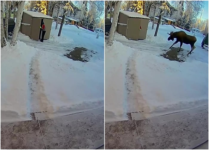 ��������˹���ݵ�С���ӵ���������¹��������� �µ���Ů��ȱ������