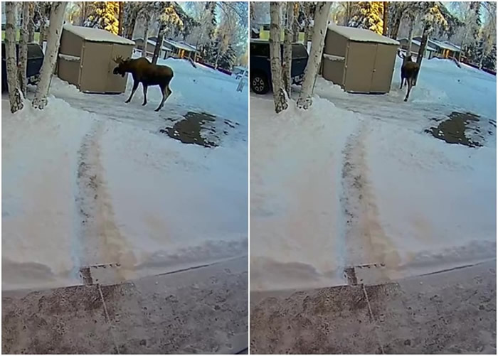 ��������˹���ݵ�С���ӵ���������¹��������� �µ���Ů��ȱ������