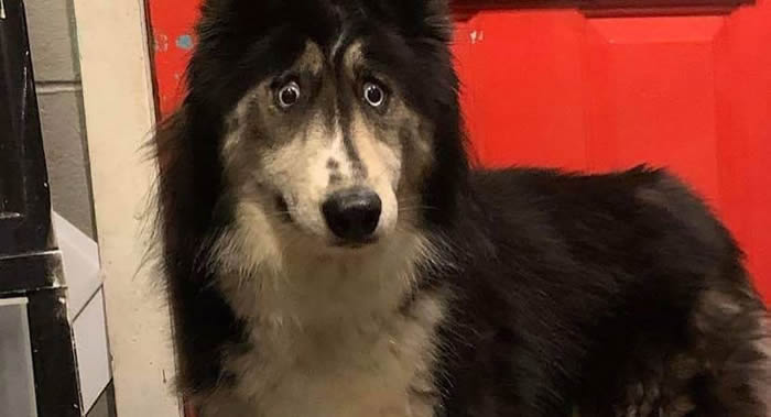 ��Զһ�����ȱ���Ĺ�ʿ�桰���������Ϊ����������