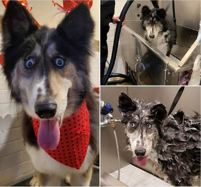 ��Զһ�����ȱ���Ĺ�ʿ�桰���������Ϊ����������