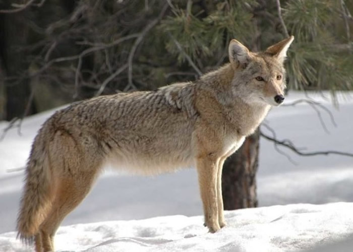 �����º���ʲ����һ�����׾ȶ�����ͽ��ɱ������