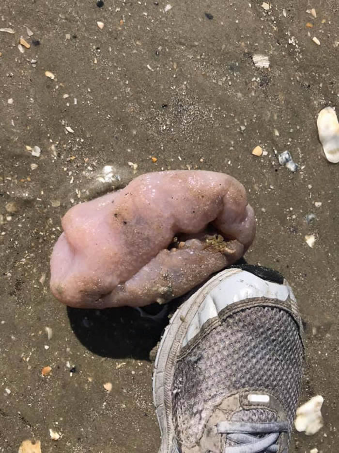 �����Ͽ��������ݺ�̲�Ϸ��ֵ���������ǡ�������顱���ǡ������ˡ���