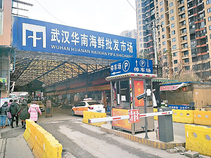 ��2019���͹�״����̬�ƽ�չ�ͷ����������桷���������ɻ��Ϻ��������г�Ұ����������