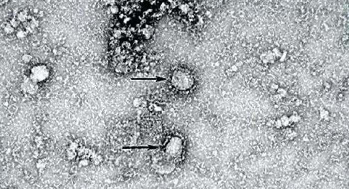 �Ĵ�����ī������Doherty�о�����ѧ�ҳɹ������������͹�״����