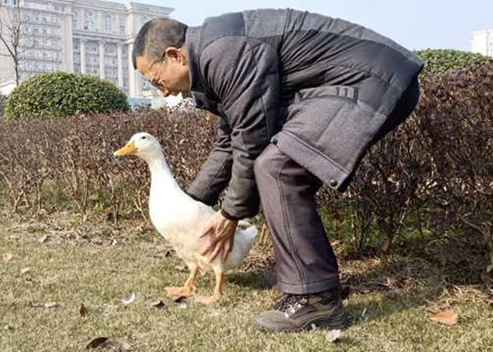 ˮһֻѼεű߾Ͳ ؼɳ