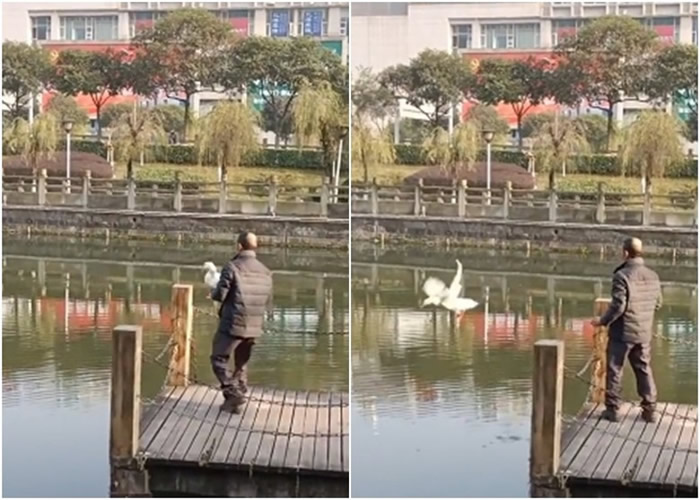 ˮһֻѼεű߾Ͳ ؼɳ