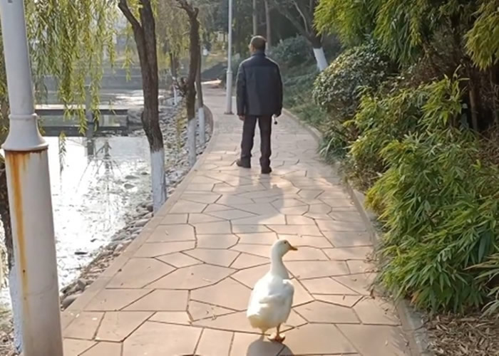 ˮһֻѼεű߾Ͳ ؼɳ