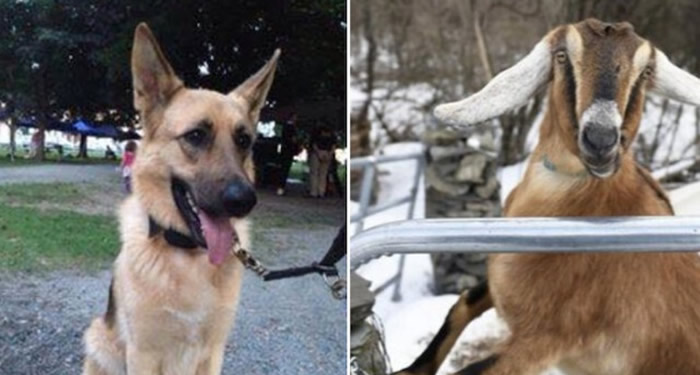 �����������������ݷѶ����Ľ�����������ѡ�� ��������ѡ�ˡ���ɽ���ֿϺ;�Ȯɭ��