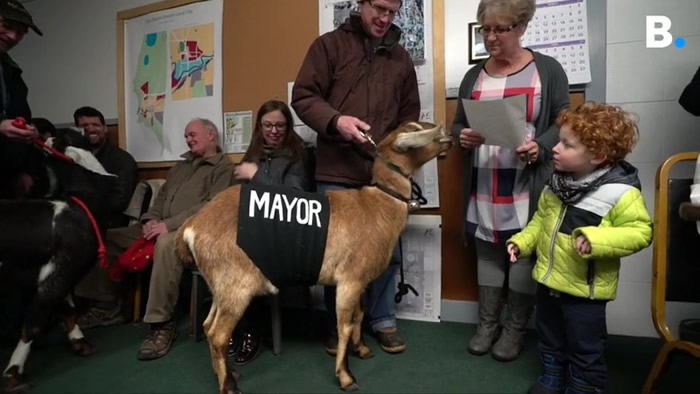 �ֿ��������ݵ��ã��ܵ�С���ѻ��ġ�