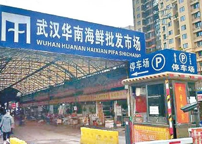 �й�ҽѧר���ڡ���Ӣ����ҽѧ��־�������о����� ָ�����人���׻����ѳ����˴���