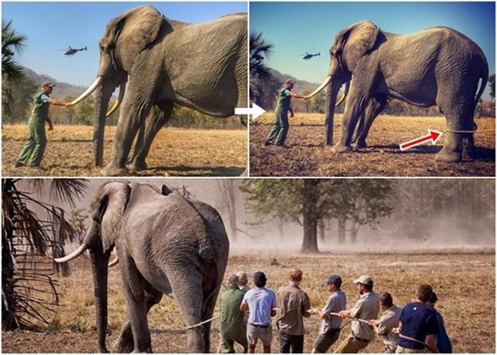 ���������ʱ����������������� ����Ķ�����û�и�������¡������Ҵ�Ig�����������