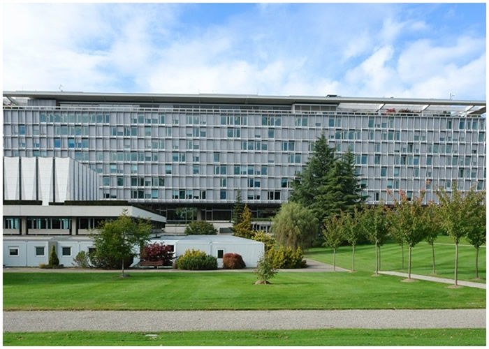 武汉肺炎疫情有关的假新闻谣言网上流传 世界卫生组织打击假新闻