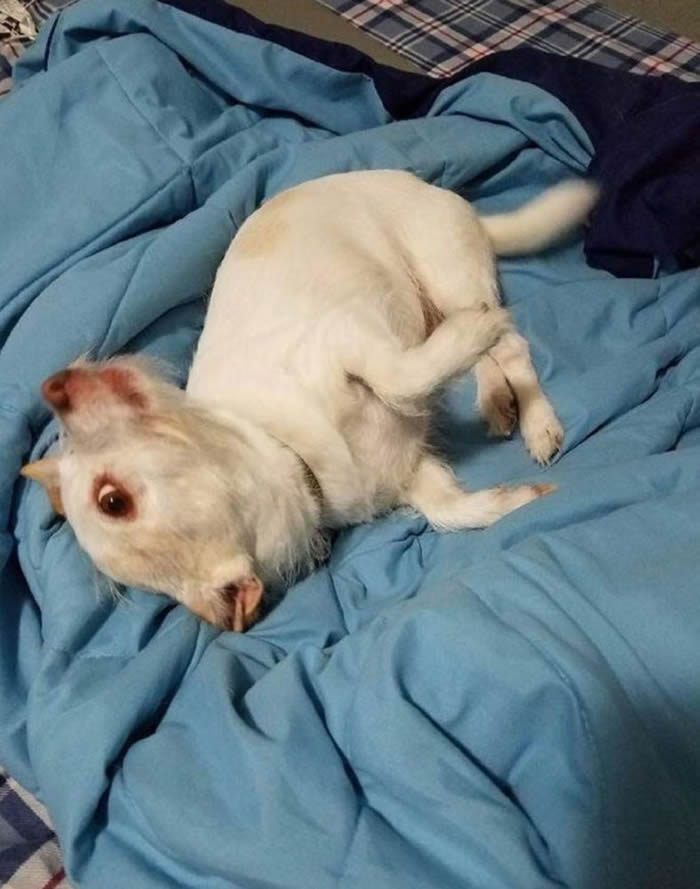 ������Сɽ��Reddit�û�������Ƭ��������