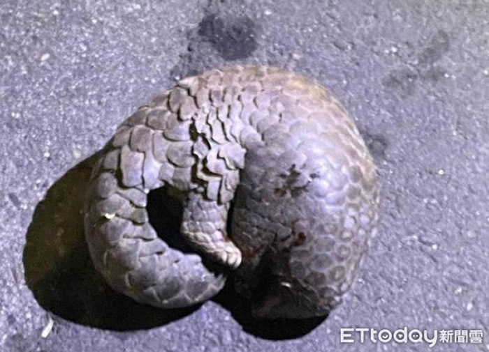 ̨�崩ɽ�׹���·�⳵ײ �ܾ��ž�����һ��