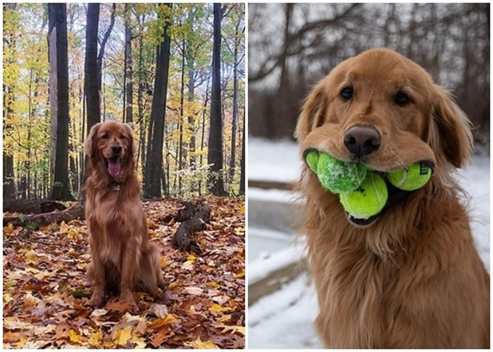 ŦԼëѰȮFinleyһںס6 Ƽ˹¼