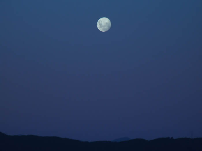 2020��3��10�մ�����