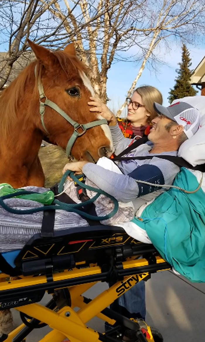 ���ݣ���������˹�ݰ�ĩţ�м�20�깫��������һ�� Բ�θ��찲������