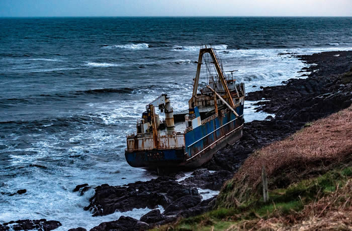 鴬MV Altaƿ˿ ǰڷ޸